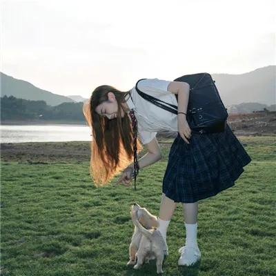 红翼